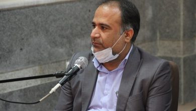بازاهای جدید برای خرمای استان بوشهر ایجاد می شود - خبرگزاری مهر | اخبار ایران و جهان