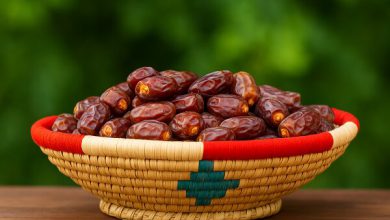 پیش بینی برداشت ۷۰ تن خرمای مجول در رودان - خبرگزاری مهر | اخبار ایران و جهان